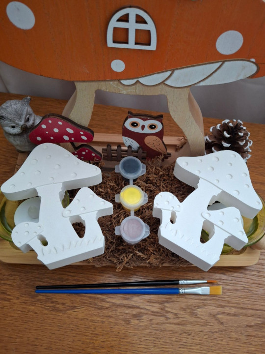 Coffret créatif - Thème champignon