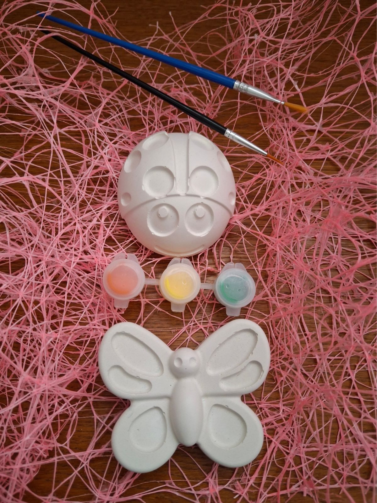 Coffret créatif - Thème Coccinelle/Papillon