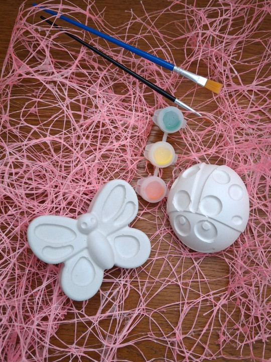 Coffret créatif - Thème Coccinelle/Papillon