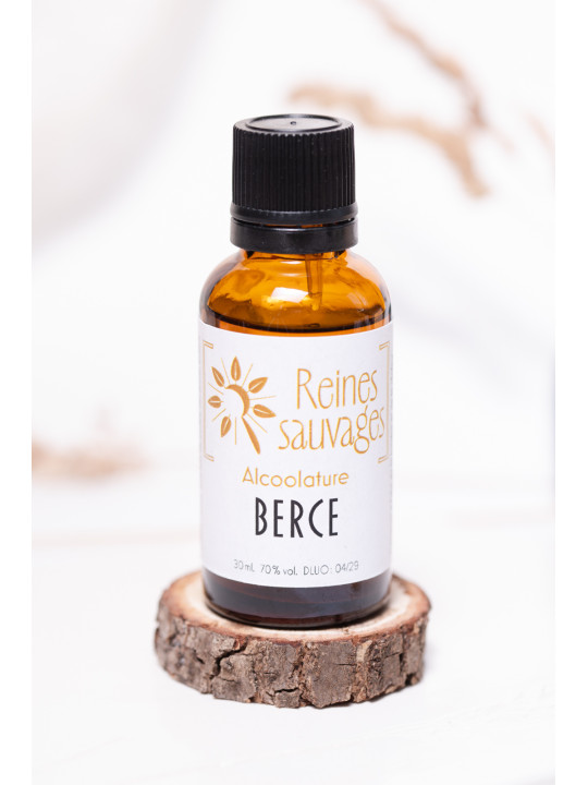 Alcoolature Berce sauvage