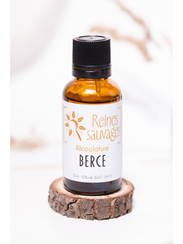 Alcoolature Berce sauvage