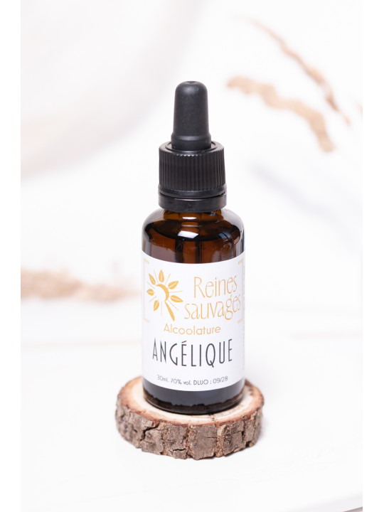 Alcoolature Angélique sauvage