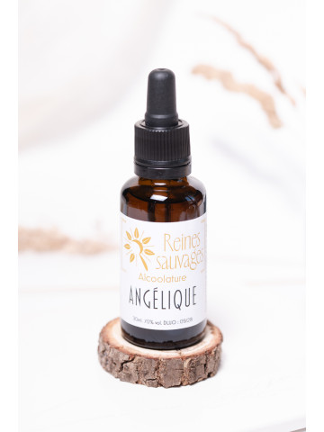 Alcoolature Angélique sauvage