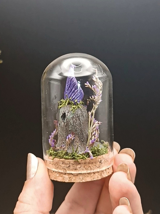 Mini monde sous cloche ~ Gardien violet