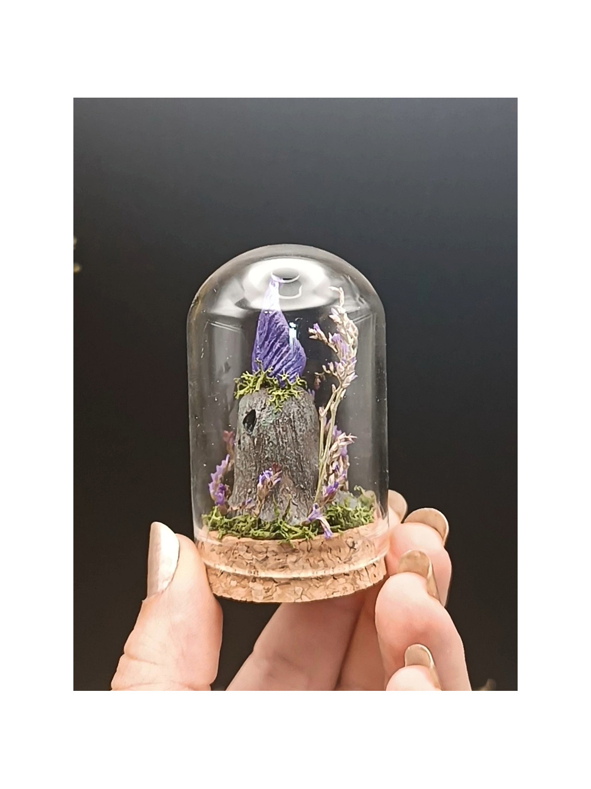 Mini monde sous cloche ~ Gardien violet