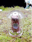 Mini monde sous cloche ~ Arbre enchanté rose