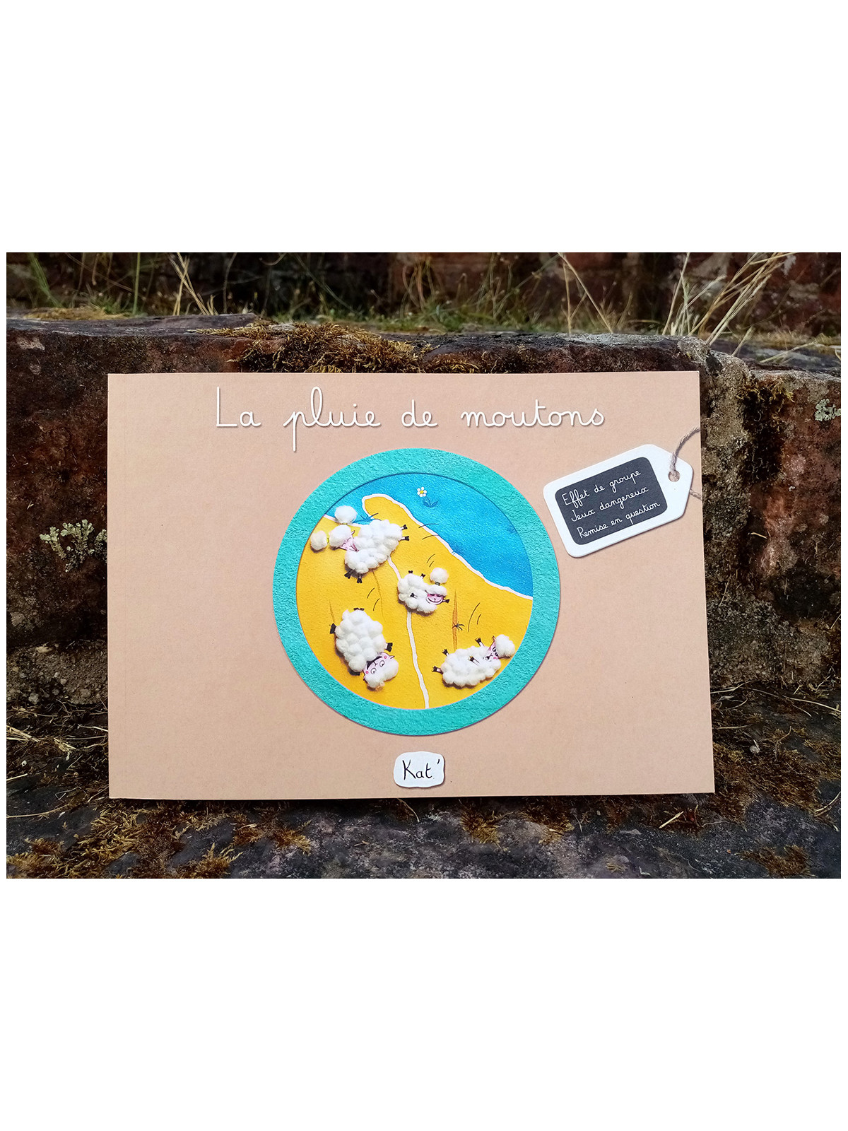 La pluie de moutons - Album jeunesse/Livre enfant 4-8 ans - Kat'
