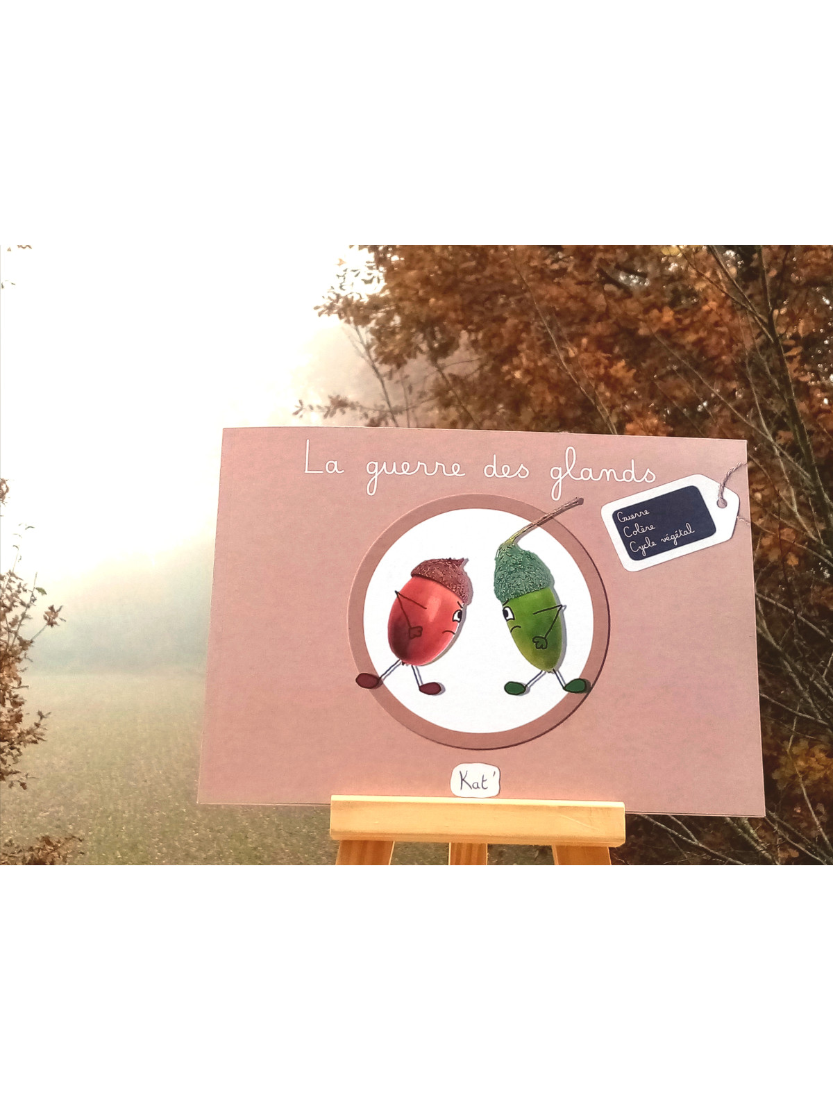 La guerre des glands - Album jeunesse/Livre enfant 4-8ans - Kat'