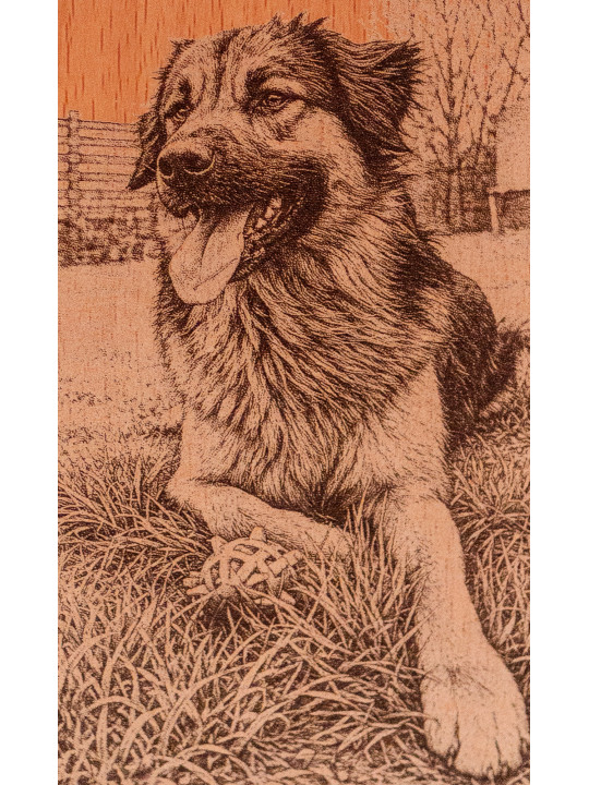 Portrait animal personnalisé gravé sur bois | Avalenn Créations