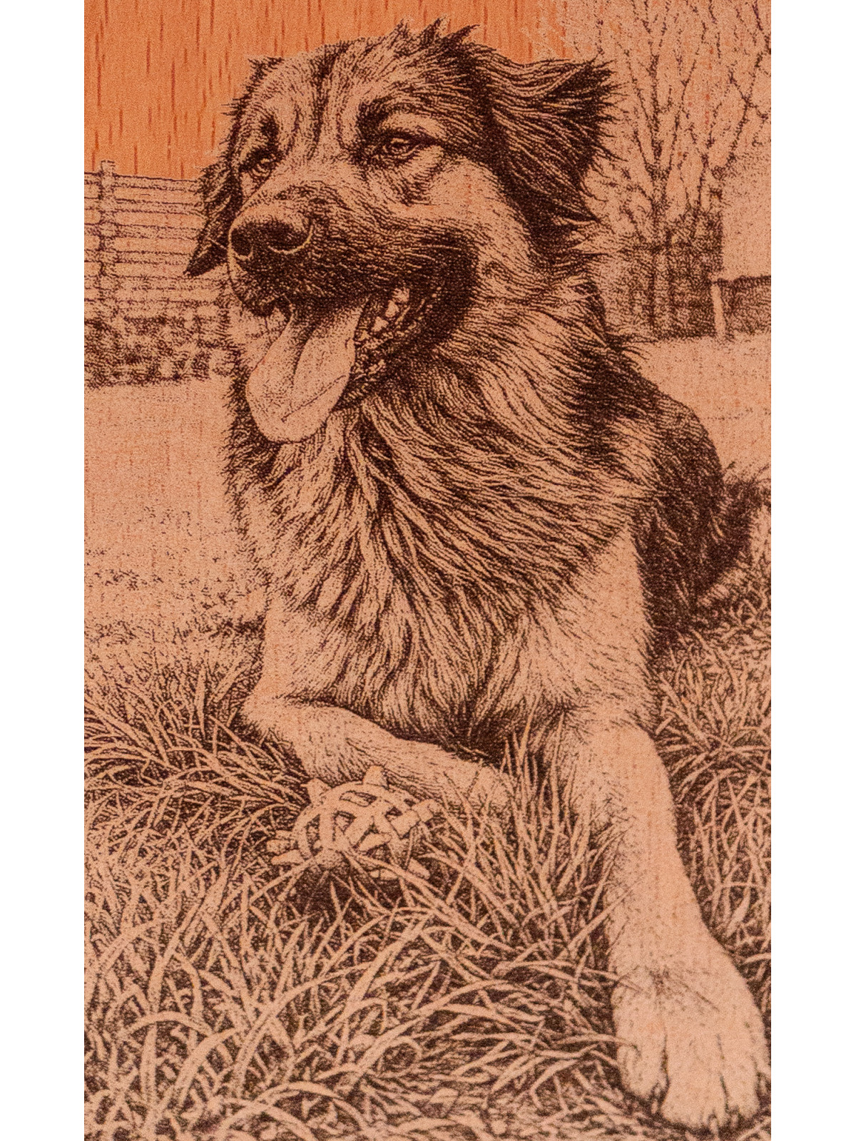 Portrait animal personnalisé gravé sur bois | Avalenn Créations
