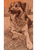 Portrait animal personnalisé gravé sur bois | Avalenn Créations