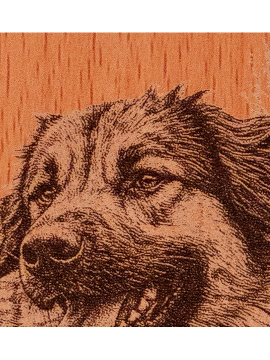 Portrait animal personnalisé gravé sur bois | Avalenn Créations