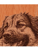 Portrait animal personnalisé gravé sur bois | Avalenn Créations