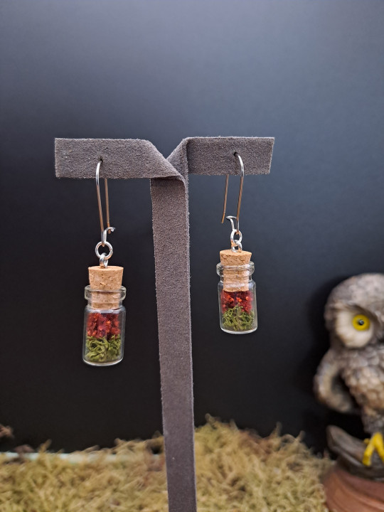 Collection Automne - Boucles d'oreilles hypoallegéniques rouges 