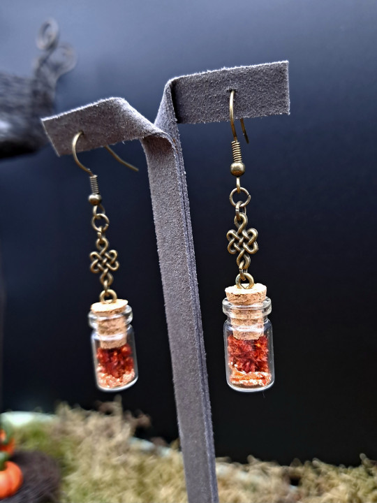 Collection Automne - Boucles d'oreilles L rouges 
