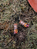 Collection Automne - Boucles d'oreilles Flammes 