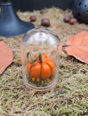  Collection Automne - Mini monde citrouille orange