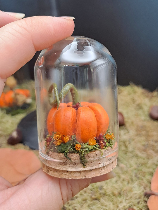  Collection Automne - Mini monde citrouille orange