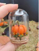  Collection Automne - Mini monde citrouille orange