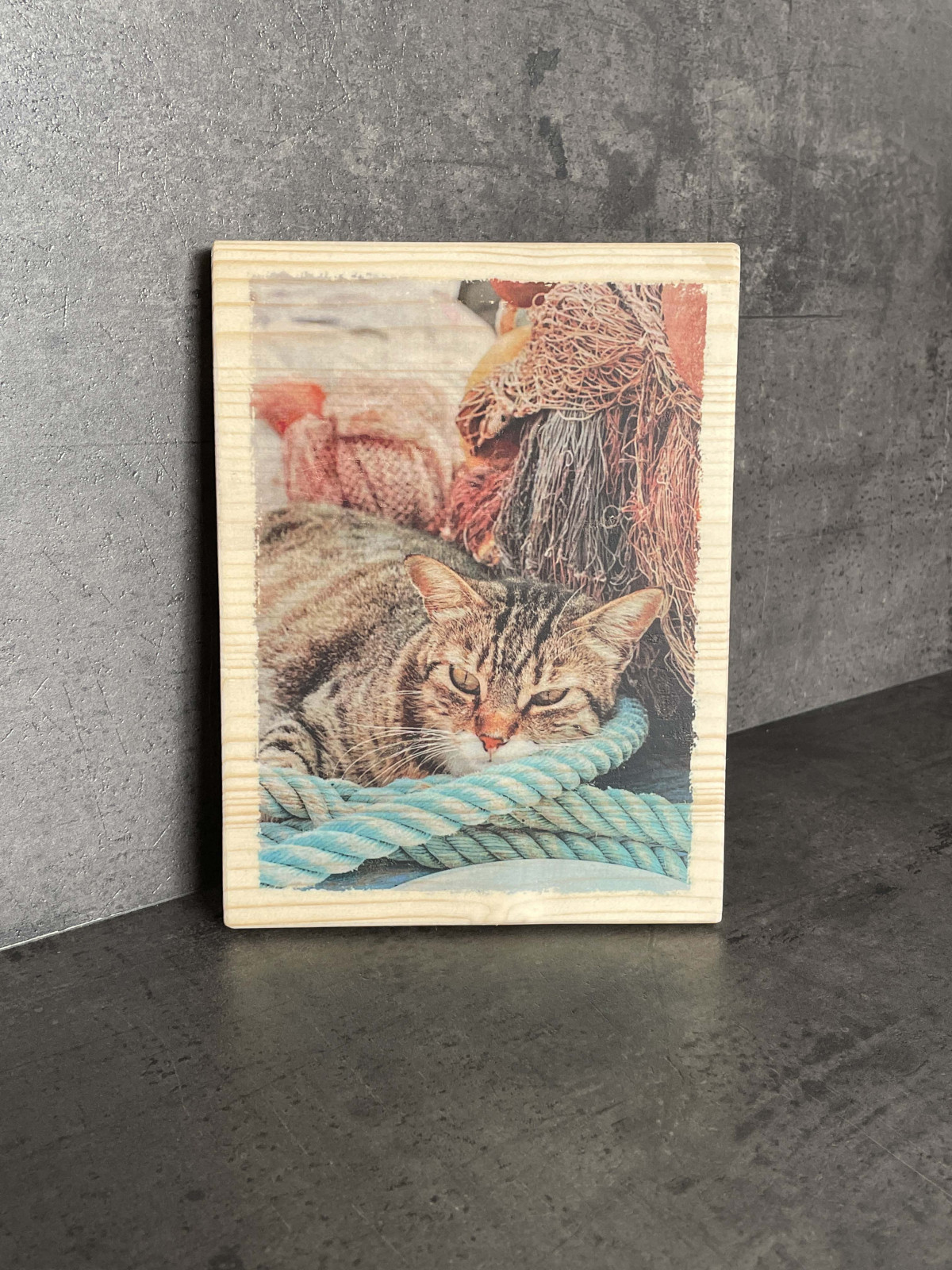 Photo sur bois chat dans les filets 15x20cm