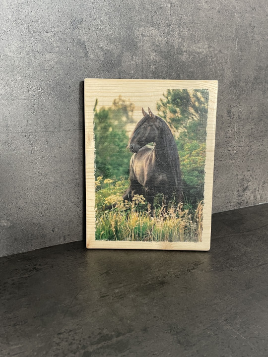 Photo sur bois cheval 15x20cm