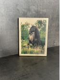 Photo sur bois cheval 15x20cm