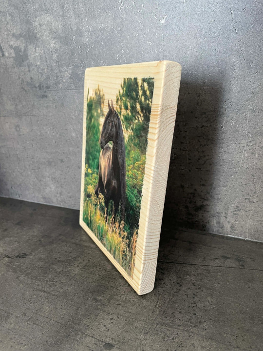 Photo sur bois cheval 15x20cm