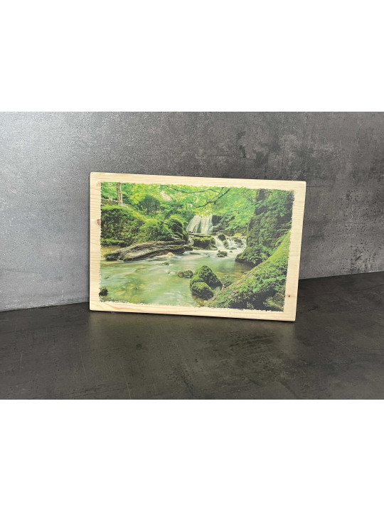 Photo sur bois forêt 20x30cm