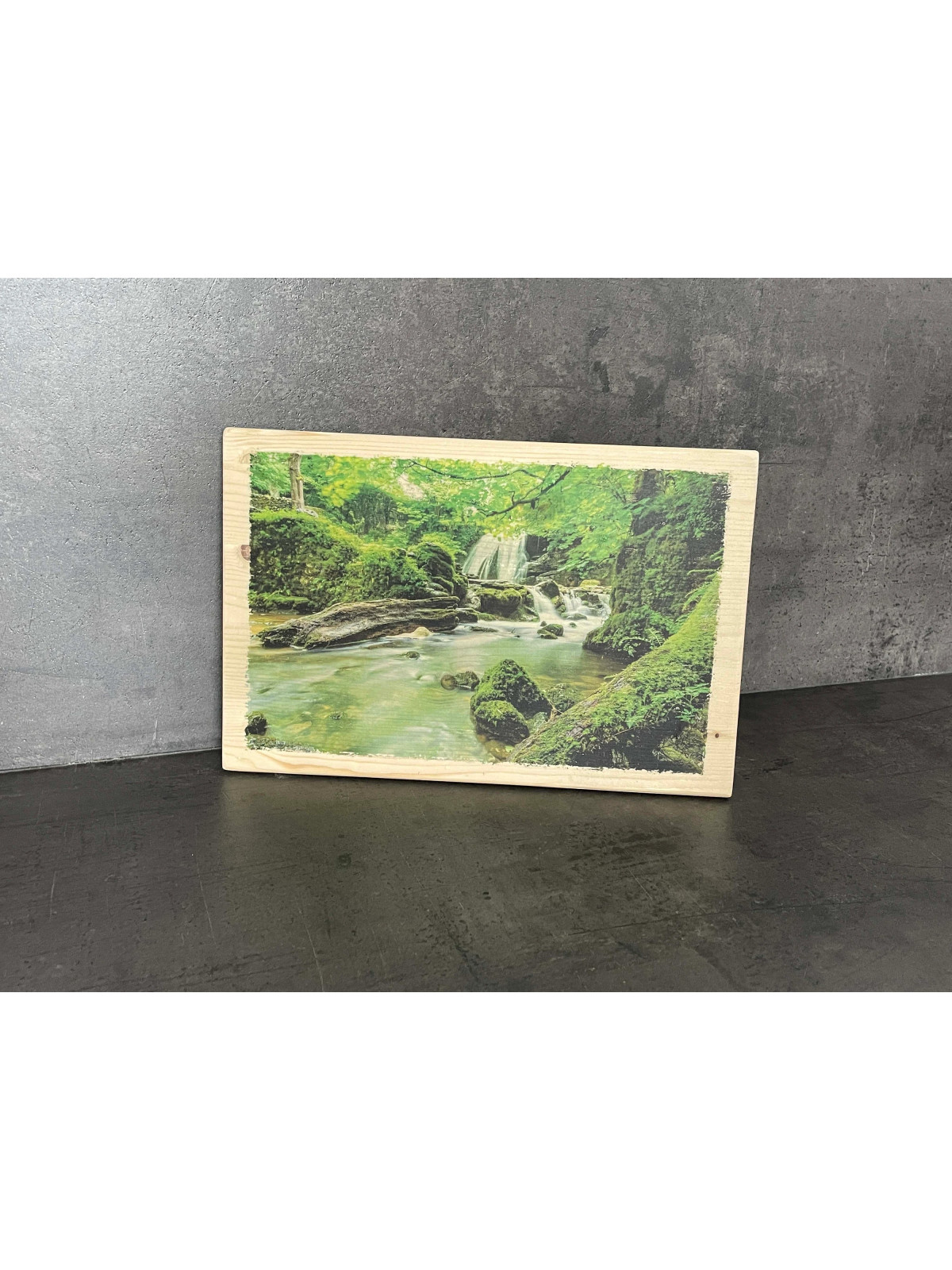 Photo sur bois forêt 20x30cm