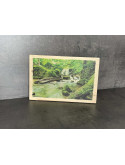Photo sur bois forêt 20x30cm