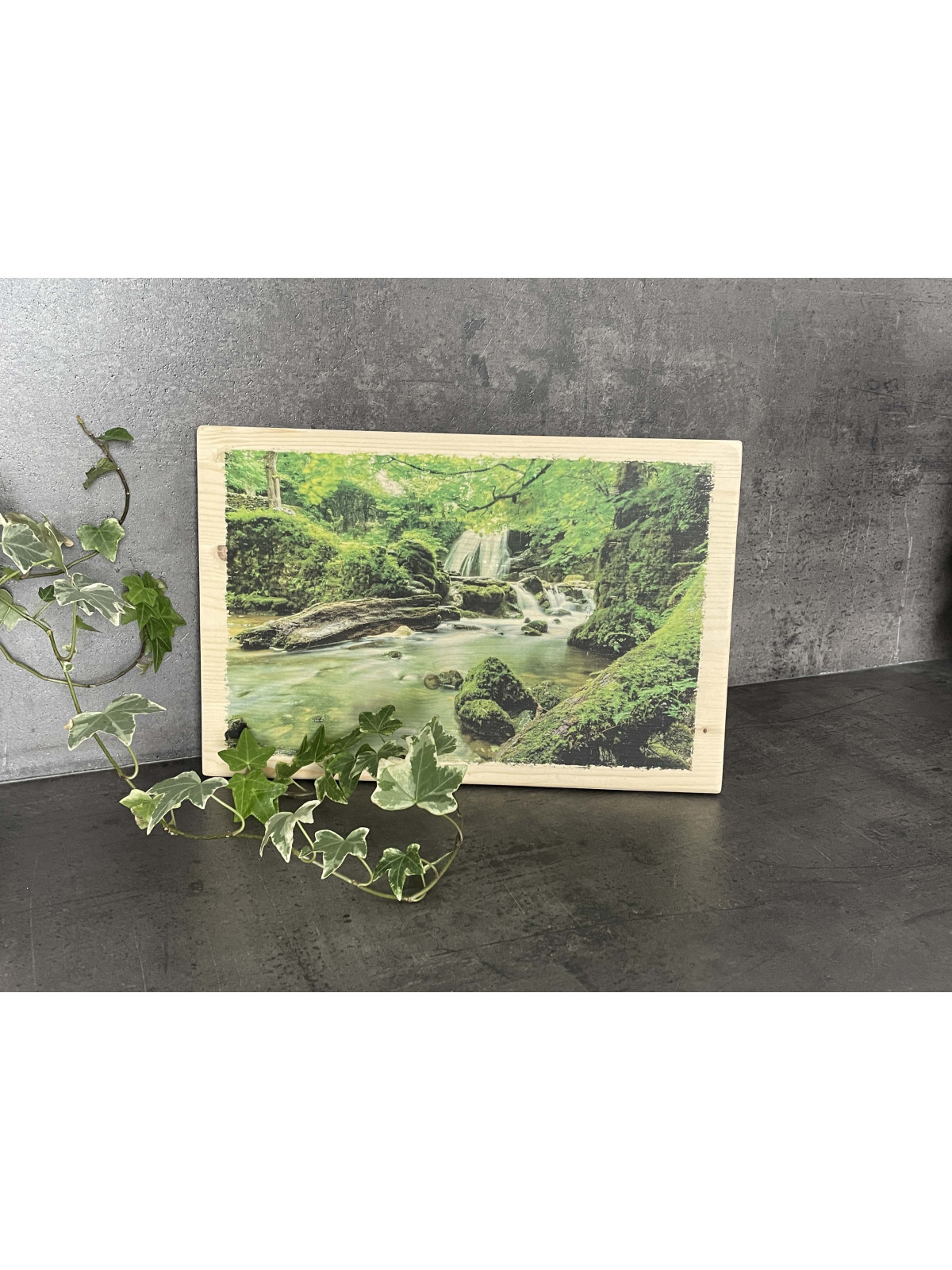 Photo sur bois forêt 20x30cm