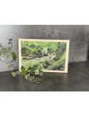 Photo sur bois forêt 20x30cm