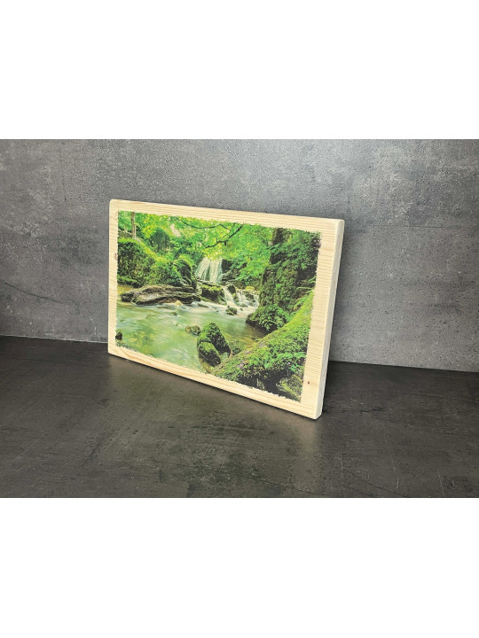 Photo sur bois forêt 20x30cm