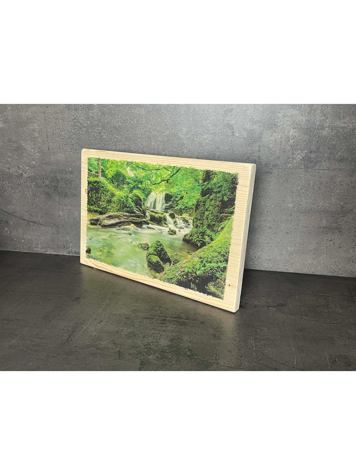 Photo sur bois forêt 20x30cm