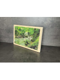 Photo sur bois forêt 20x30cm
