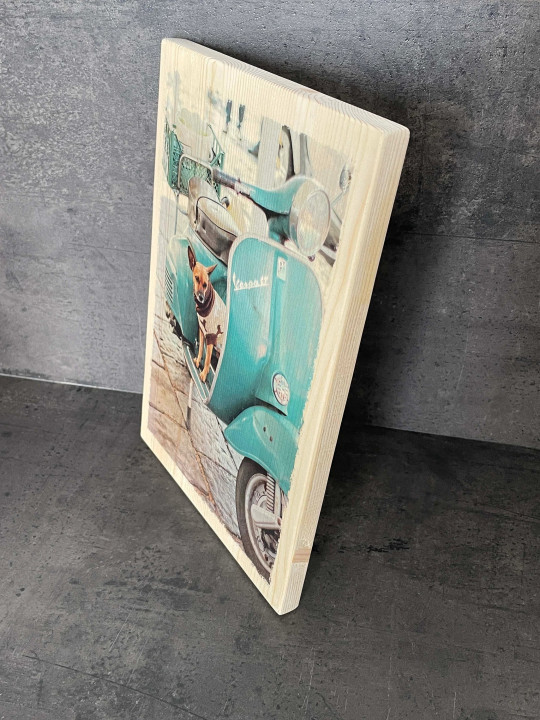 Photo sur bois chien sur Vespa 20x30cm