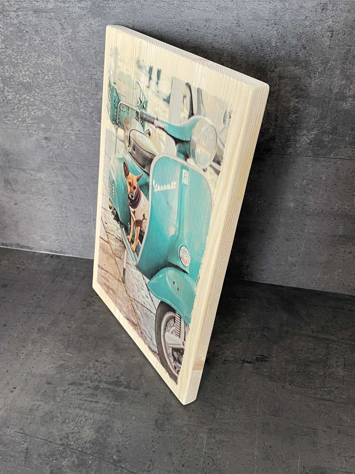Photo sur bois chien sur Vespa 20x30cm
