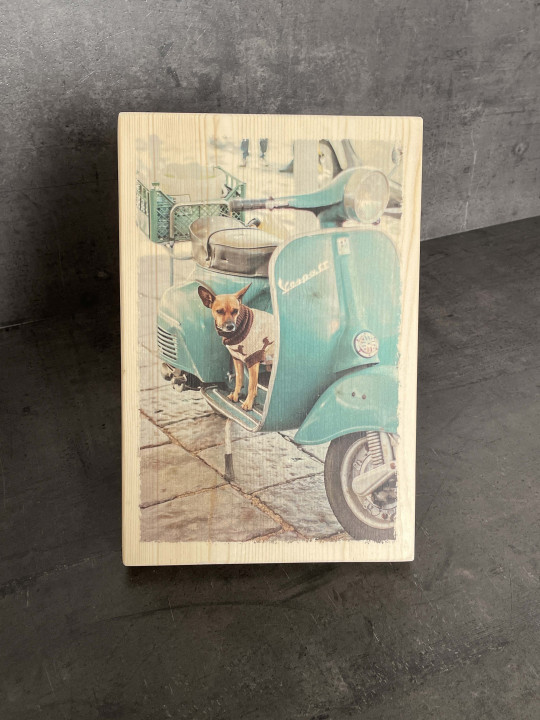 Photo sur bois chien sur Vespa 20x30cm