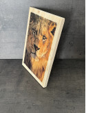 Photo sur bois lion 20x30cm