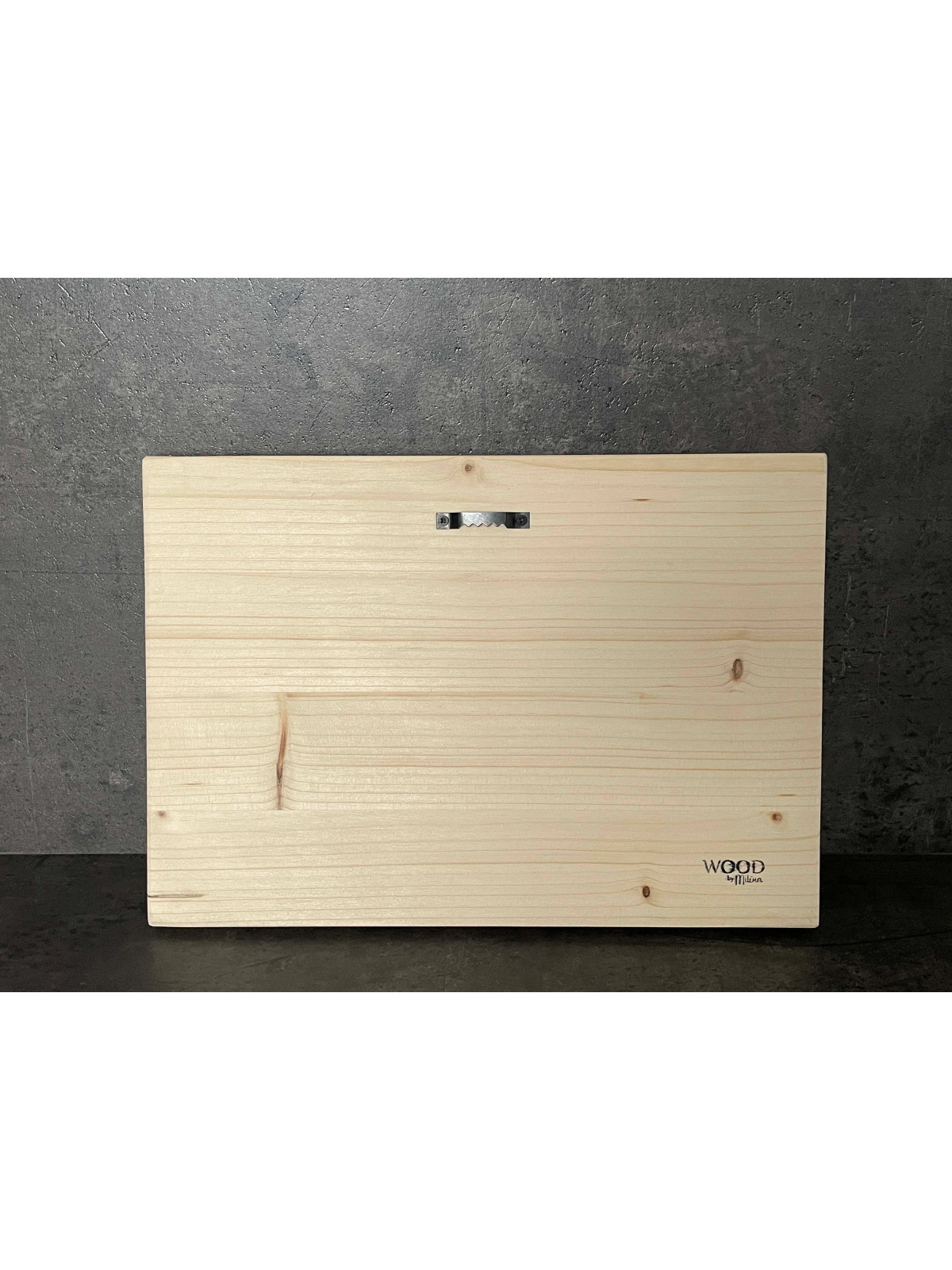 Photo sur bois perroquet 20x30cm