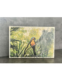 Photo sur bois perroquet 20x30cm