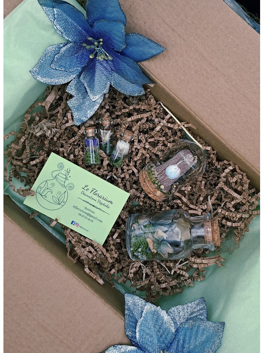 Pré-commande - Coffret Nature