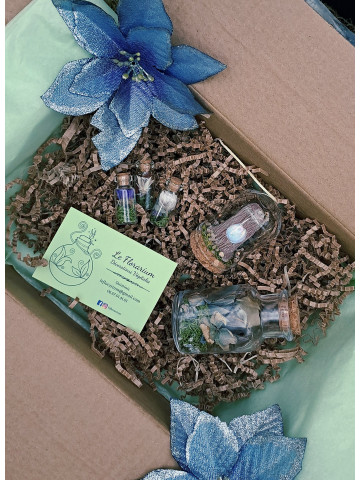 Pré-commande - Coffret Nature