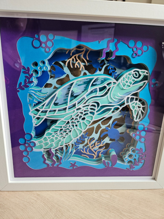 CADRE TORTUE