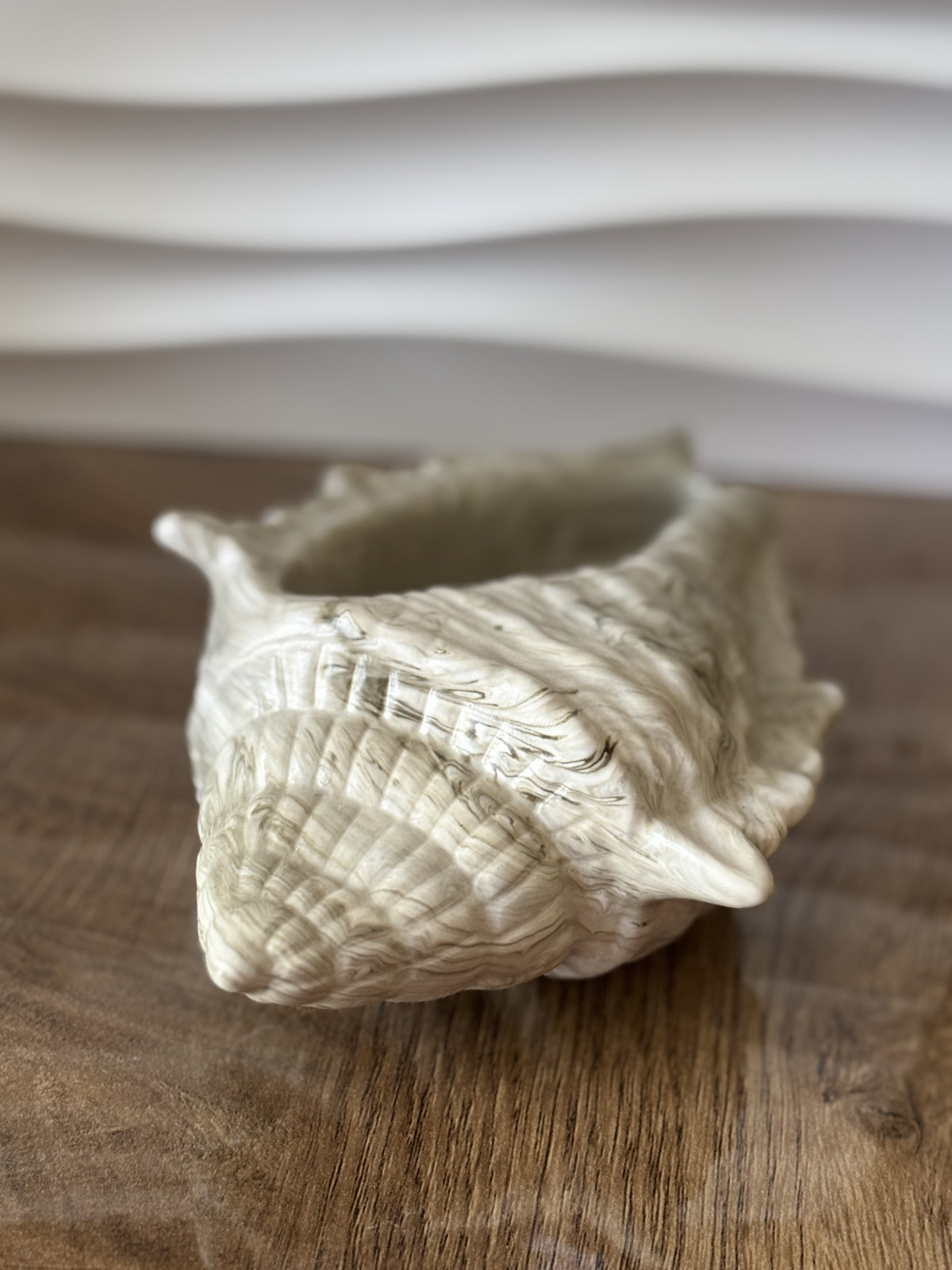 Gros coquillage kaki