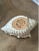 Gros coquillage kaki