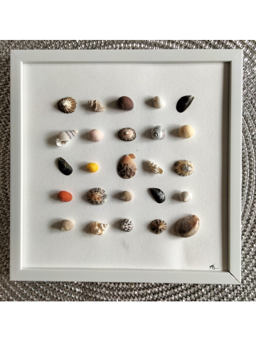 Cadre coquillages