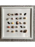 Cadre coquillages