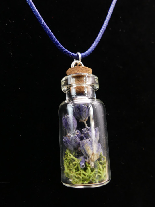 Parure de fioles poétiques - fleurs séchées bleues