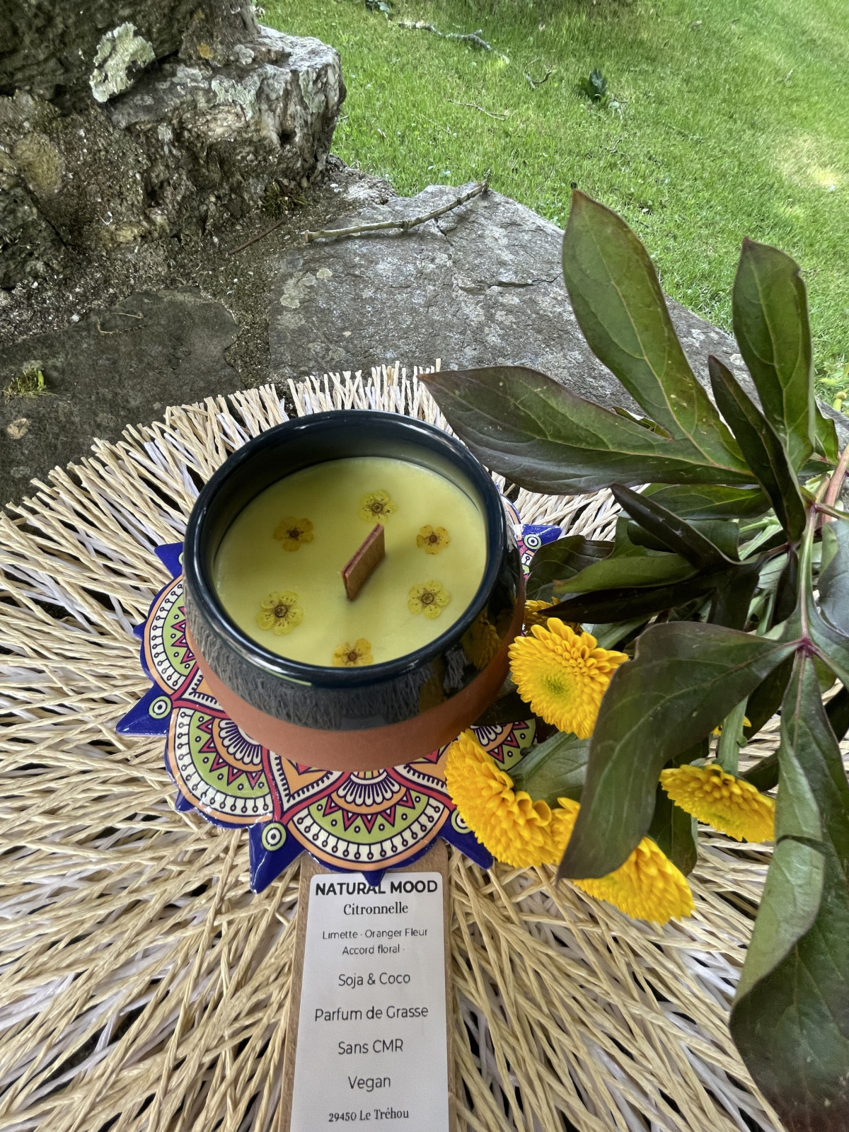 Citronnelle